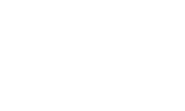Indigo Moon Holistics